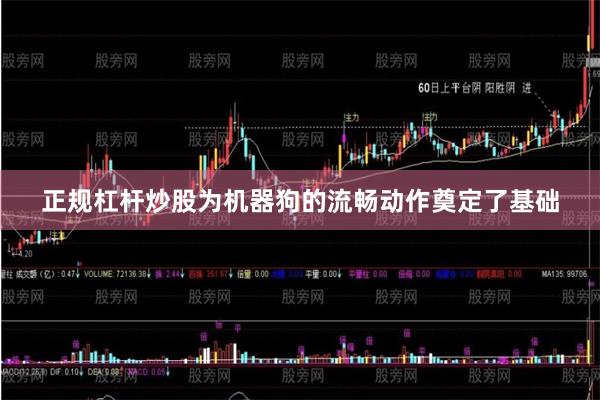 正规杠杆炒股为机器狗的流畅动作奠定了基础